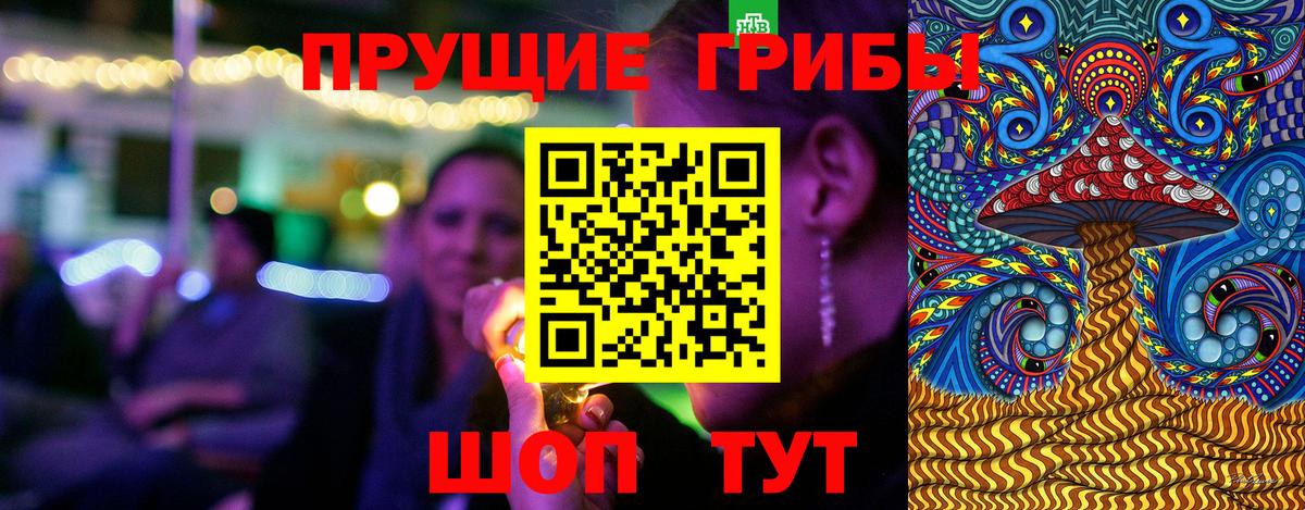 Елабуга  Псилоцибиновые грибы ЛСД  Вход с VPN  Псилоцибиновые грибы Psilocybine cubensis 