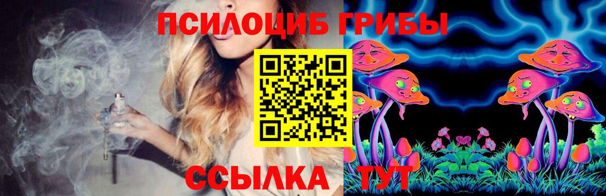 Псилоцибиновые грибы Psilocybe Елабуга
